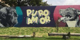Imagen de un mural en Bogotá