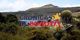 imagen de el páramo de Bogotá