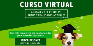 Imagen de IDPYBA. Curso virtual "Animales y el Covid-19: Mitos y Realidades"