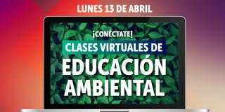 Imagen de la Secretaría de Ambiente: Nueva programación clases virtuales educación ambiental