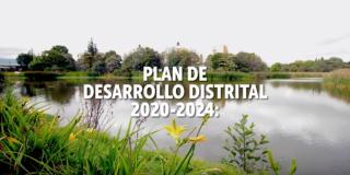 Imagen de un humedal