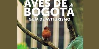 Imagen guía de aves de Bogotá
