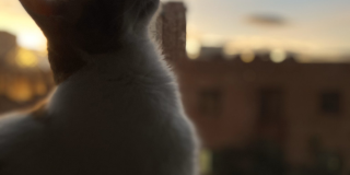 Fotografía: Giovanni Paez.