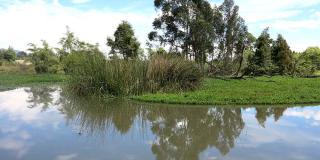 Humedal La Conejera.