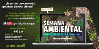 Conoce más sobre agricultura y huertas urbanas en Bogotá