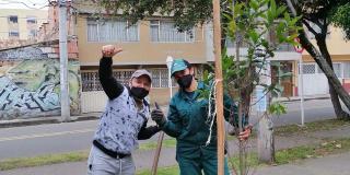 Imagen de ciudadanos plantando los árboles. 