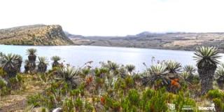 Imagen del Páramo de Sumapaz