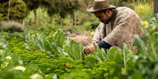 Convocatoria para los productores rurales de Bogotá
