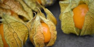 Imagen de unas uchuvas.