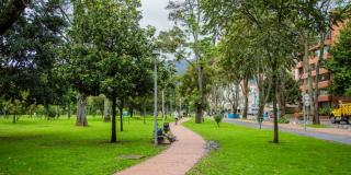 Imagen de árboles en el parque El Virrey 