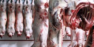 Oferta de empleo para operario de cuarto frío - Foto: pixabay.com