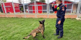Nuevo centro de entrenamiento canino del Cuerpo de Bomberos de Bogotá 