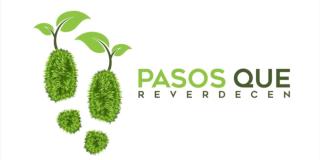 Pasos que reverdecen 