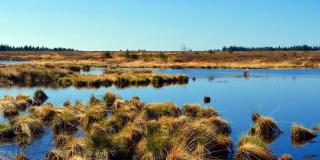 imagen de un páramo