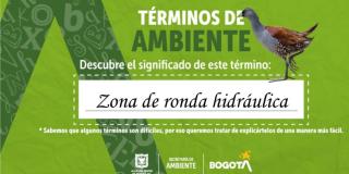 Imagen de Secretaría de Ambiente.