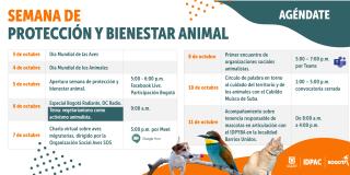 Cronograma de actividades en la Semana de Protección y Bienestar Animal.