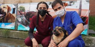 Imagen de una familia interespecie 