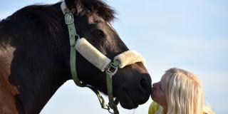Imagen de una mujer en compañía de un caballo.