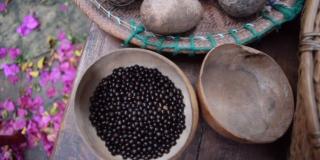 Semillas en los instrumentos musicales