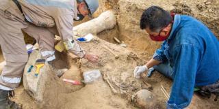  Restos Arqueológicos fueron hallados en la localidad de Ciudad Bolívar 