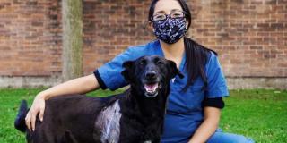 Imagen de una veterinaria del Instituto con un perro. 