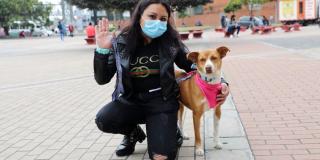 Imagen de un canino dado en adopción 