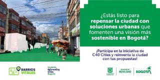 Se espera que las propuestas aborden problemas y oportunidades de mejora asociados con los espacios públicos y el abandono y deterioro de algunas viviendas. Además, las propuestas deben cubrir la reducción de emisiones, contemplando la acción climática basada en la necesidad de abordar los impactos del cambio climático en el marco del Plan de Acción Climática.