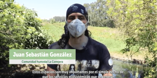 Imagen de la jornada de plantación en humedales de Bogotá.