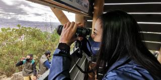 La Red de Observatorios de Aves de Bogotá se convierte en gran atractivo para los turistas, provenientes de países como Inglaterra y Estados Unidos, especialmente. Foto: IDT.