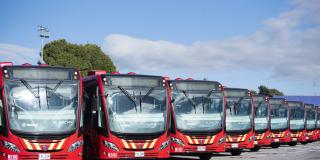Buses de TransMilenio listos para transportar a los estudiantes de Bogotá. Foto: TransMilenio