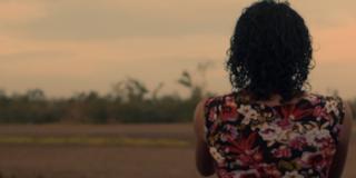 En el marco de los 20 años de Ciclo Rosa se realizarán los Laboratorios de Escrituras Audiovisuales Queer que tendrá un laboratorio de Guion del 8 al 24 de junio. Imagen: Cinemateca de Bogotá.