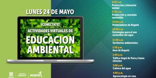 Actividades de Educación Ambiental para el 24 de mayo de 2021. Imagen: Secretaría de Ambiente