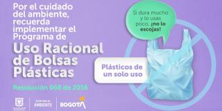 Optar por bolsas ecológicas o de tela y reutilizar son maneras de reducir el consumo de plásticos de un solo uso. Imagen: Secretaría de Ambiente