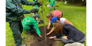 La comunidad se unió para plantar árboles y conformar una red de cuidadores para fortalecer las coberturas vegetales de la vereda Chorrillos. Foto: Jardín Botánico de Bogotá