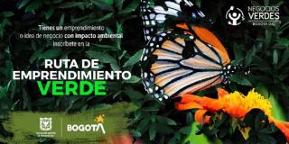 Si tienes una idea de negocio que no esté formalizada y genere un IMPACTO AMBIENTAL POSITIVO, regístrate en la 'Ruta de Emprendimiento Verde'. Imagen: Secretaría de Desarrollo Económico.