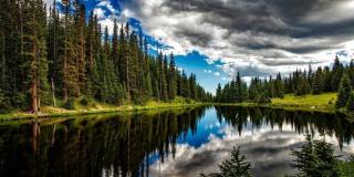 Oferta de empleo para agrónomo - Foto: pixabay.com