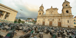 Catedral Primada de Bogotá