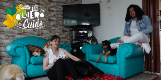 Familia Millán- Hincapié. Foto: Instituto de Protección Animal. 