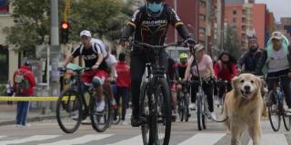 No amarres a tu perro a la bicicleta. Procura que el punto de anclaje sea la mano. Foto: IDPYBA