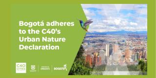 This declaration seeks to make the city greener in the coming years. Piece: Secretariat of Environment