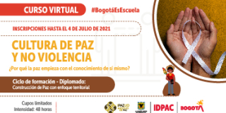 Imagen del curso Cultura de Paz y No Violencia