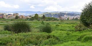 Caminatas ecológicas