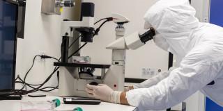 Personal de salud frente a un microscopio