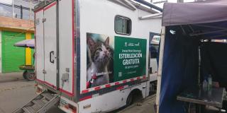 El objetivo del IDPYBA es ayudar a controlar la reproducción indiscriminada de caninos y felinos en la ciudad. Foto: IDPYBA