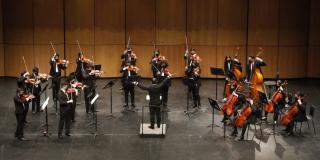 Orquesta Filarmónica Juvenil de Cámara (OFJC)