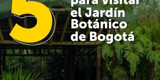Si te gustaría ir al Jardín Botánico consulta precios de entrada y horarios en la página de la entidad www.jbb.gov.co/. Pieza: Jardín Botánico
