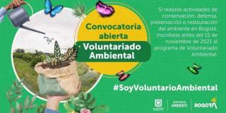 Abierta convocatoria del programa Voluntariado Ambiental en Bogotá 