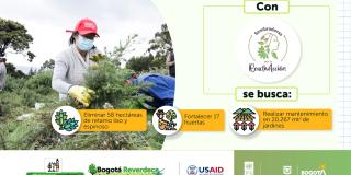 Sembradoras reactivAcción