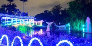 Horarios para el show de luces navideño del Jardín Botánico (foto)