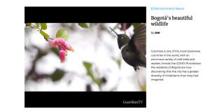 Reportaje La hermosa fauna de Bogotá. Foto Guardian TV